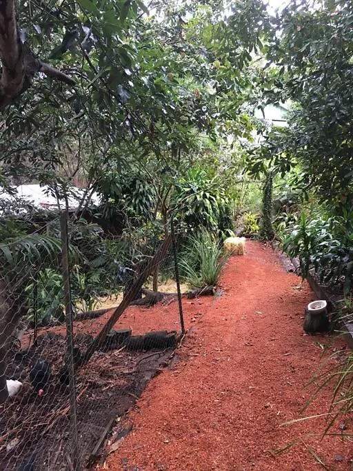 Apartment Sunshine Coast Cosy Cabin - Black Cockatoo Retreat Kiels Mountain