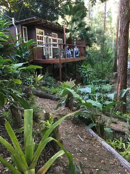 Sunshine Coast Cosy Cabin - Black Cockatoo Retreat Kiels Mountain Australia