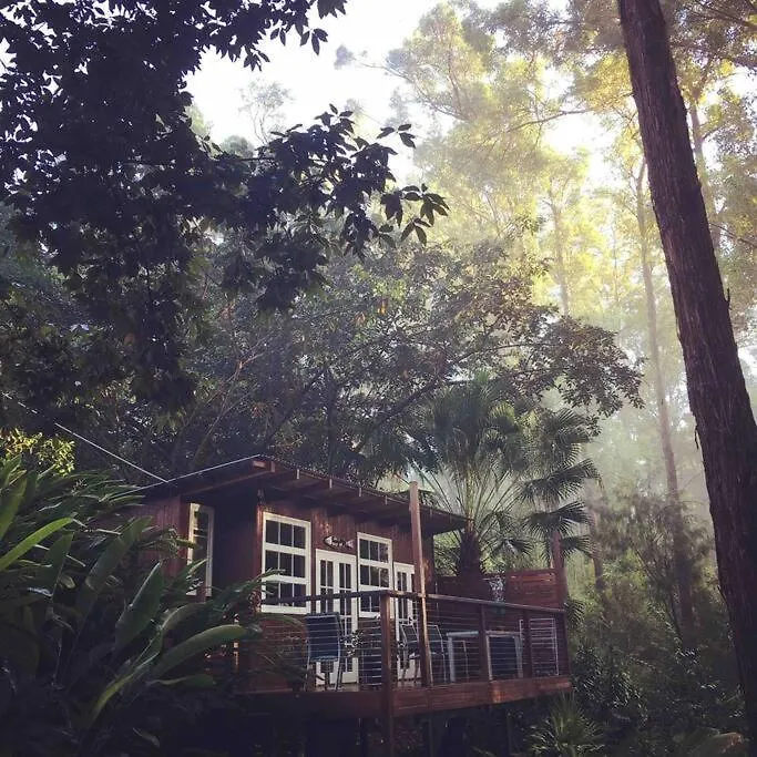Sunshine Coast Cosy Cabin - Black Cockatoo Retreat Kiels Mountain