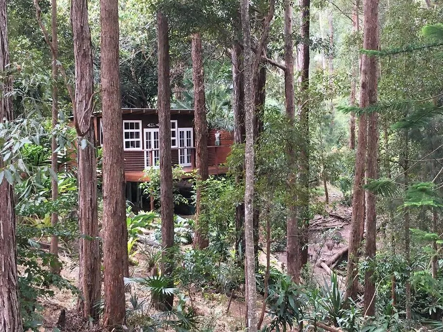 Apartment Sunshine Coast Cosy Cabin - Black Cockatoo Retreat Kiels Mountain