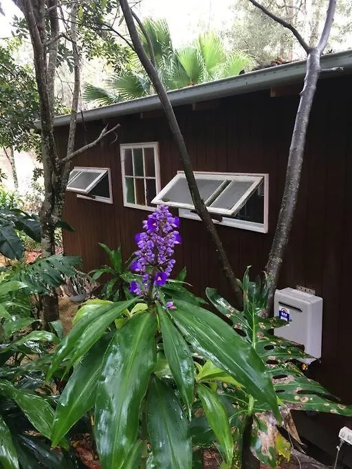 Apartment Sunshine Coast Cosy Cabin - Black Cockatoo Retreat Kiels Mountain