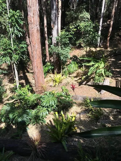 Sunshine Coast Cosy Cabin - Black Cockatoo Retreat Kiels Mountain Apartment